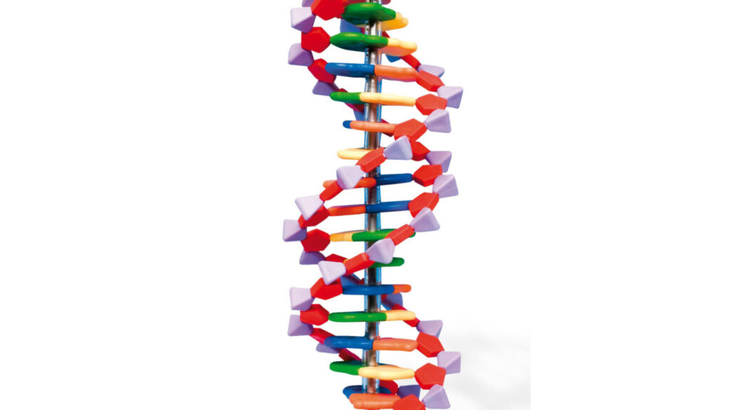 DNA